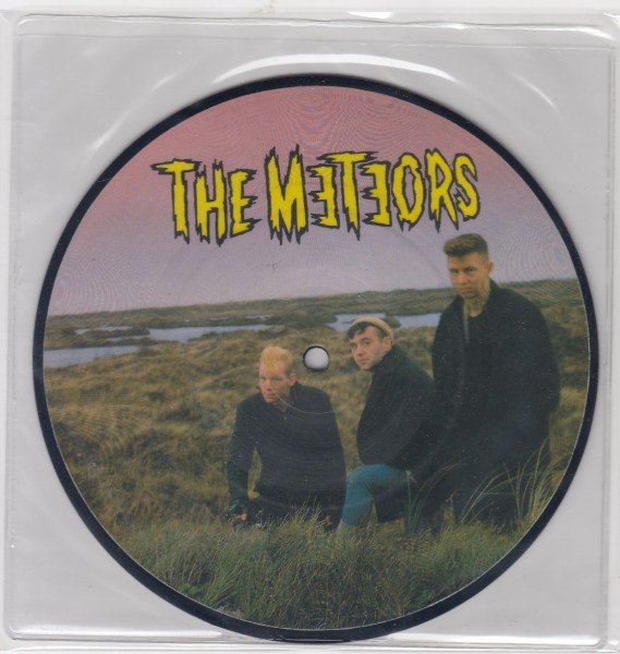 METEORS - Johnny Remember Me 7" Pic. Disc 2nd Hand